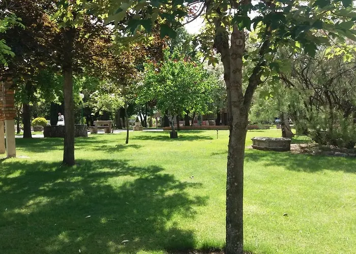 Hostel Centro San Viator *